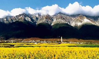大理旅游什么时候人少（每年来大理旅游的人大概有多少?）