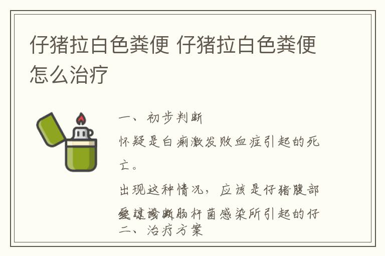仔猪拉白色粪便 仔猪拉白色粪便怎么治疗
