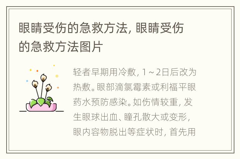 眼睛受伤的急救方法，眼睛受伤的急救方法图片