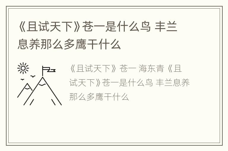 《且试天下》苍一是什么鸟 丰兰息养那么多鹰干什么