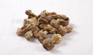 干松茸怎么吃最有营养 干松茸这样做更有营养