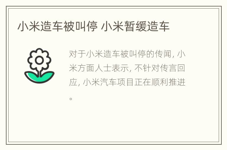 小米造车被叫停 小米暂缓造车