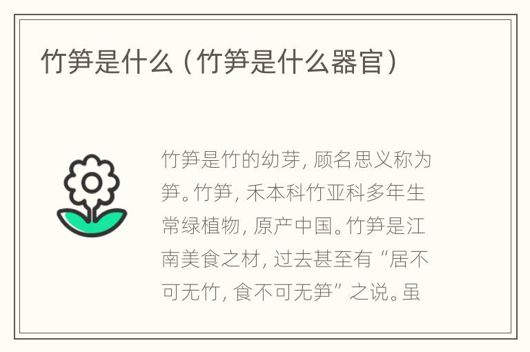 竹笋是什么（竹笋是什么器官）