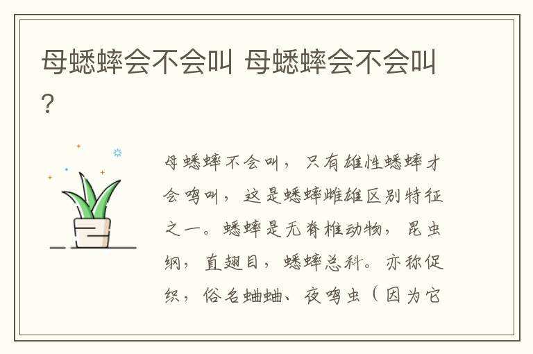 母蟋蟀会不会叫 母蟋蟀会不会叫?