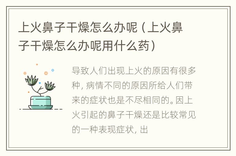 上火鼻子干燥怎么办呢（上火鼻子干燥怎么办呢用什么药）