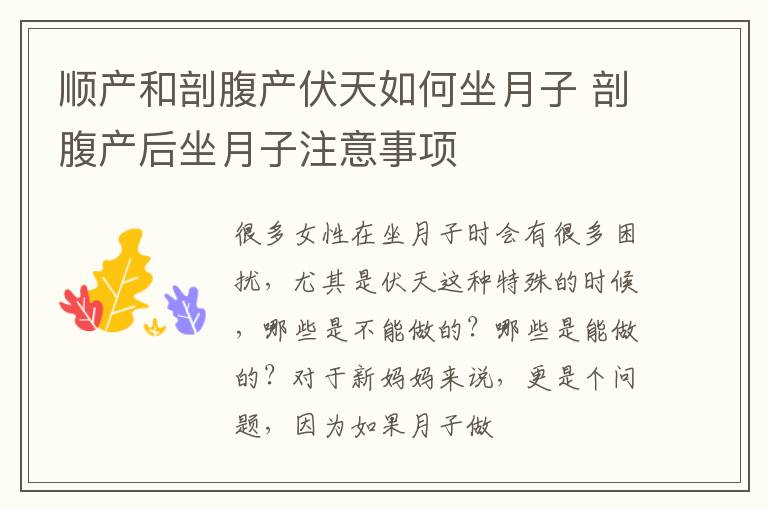 顺产和剖腹产伏天如何坐月子 剖腹产后坐月子注意事项