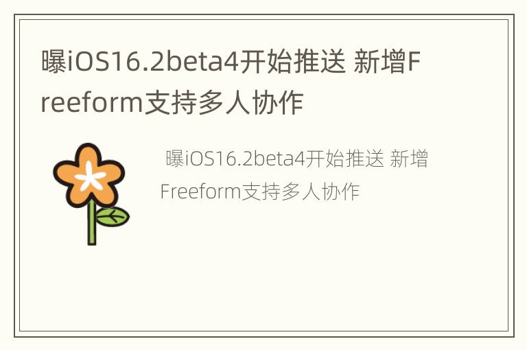 曝iOS16.2beta4开始推送 新增Freeform支持多人协作