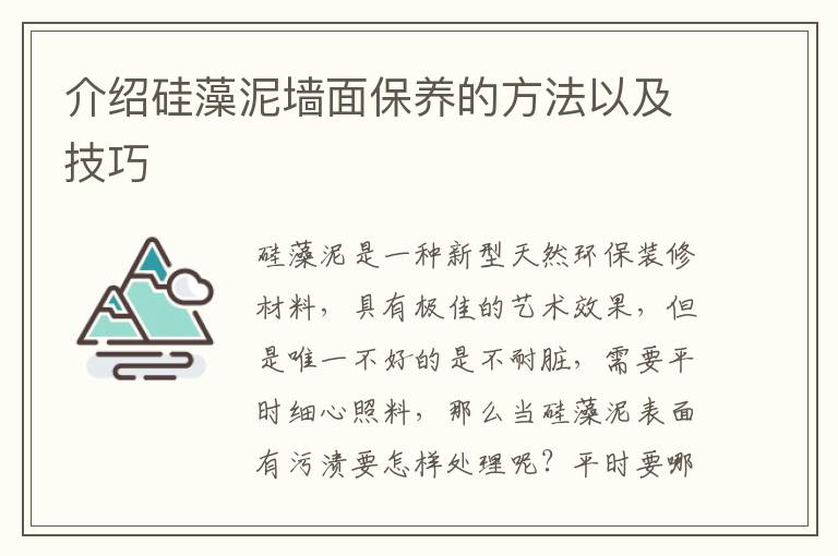 介绍硅藻泥墙面保养的方法以及技巧