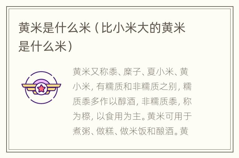 黄米是什么米（比小米大的黄米是什么米）