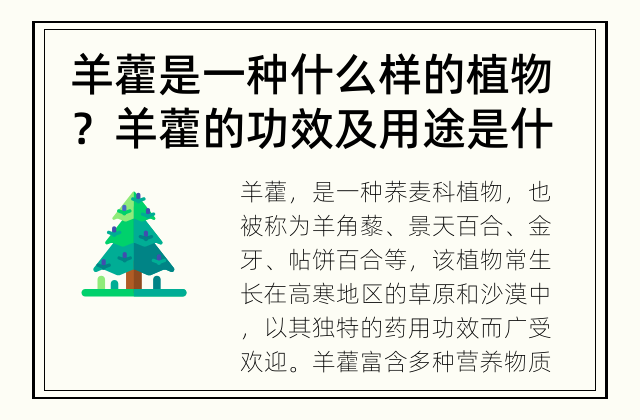 羊藿是一种什么样的植物？ 羊藿的功效及用途是什么？
