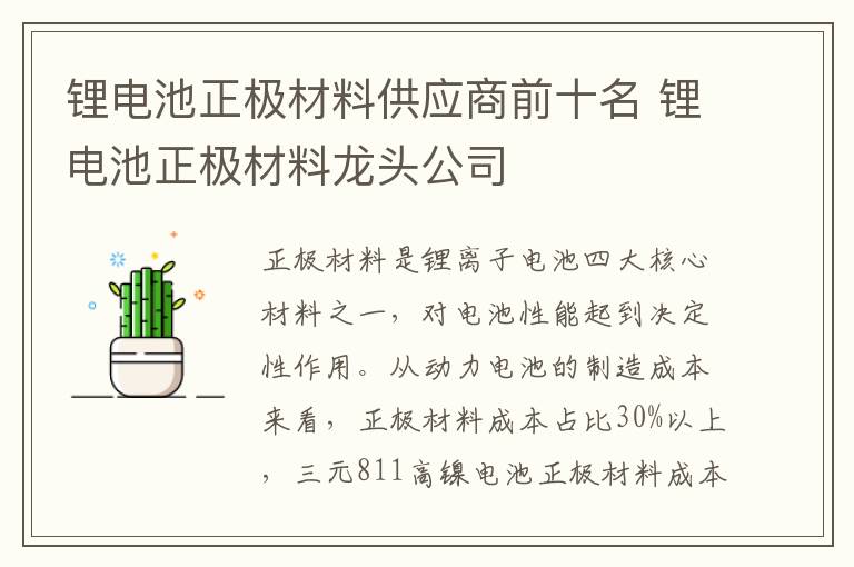 锂电池正极材料供应商前十名 锂电池正极材料龙头公司