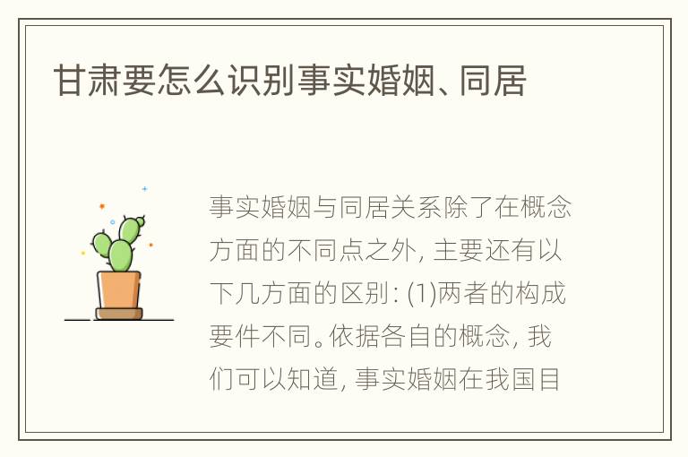 甘肃要怎么识别事实婚姻、同居