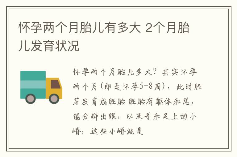 怀孕两个月胎儿有多大 2个月胎儿发育状况