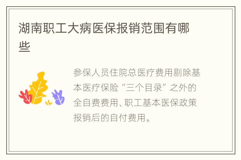 湖南职工大病医保报销范围有哪些