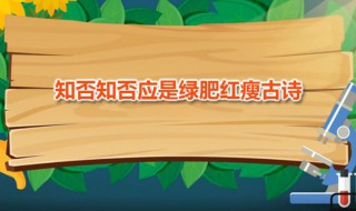 知否知否应是绿肥红瘦古诗 这首诗的作者是谁