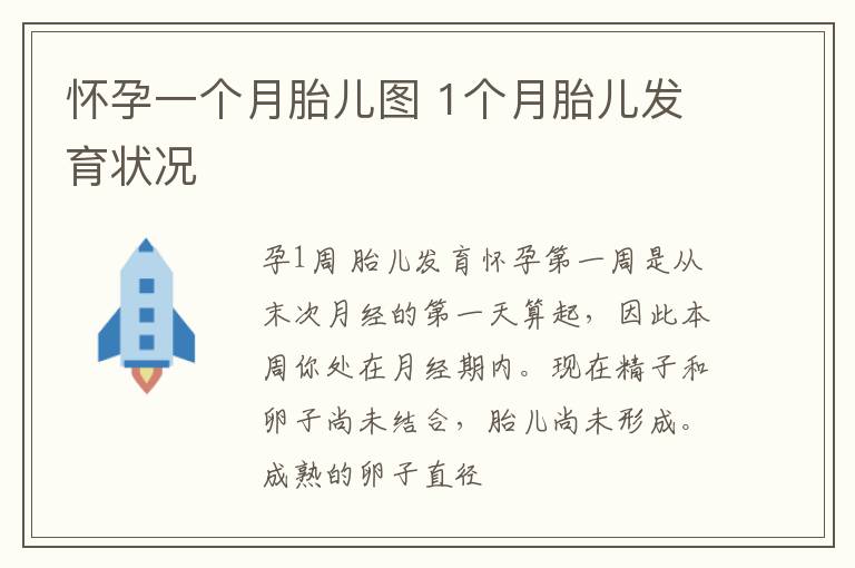 怀孕一个月胎儿图 1个月胎儿发育状况