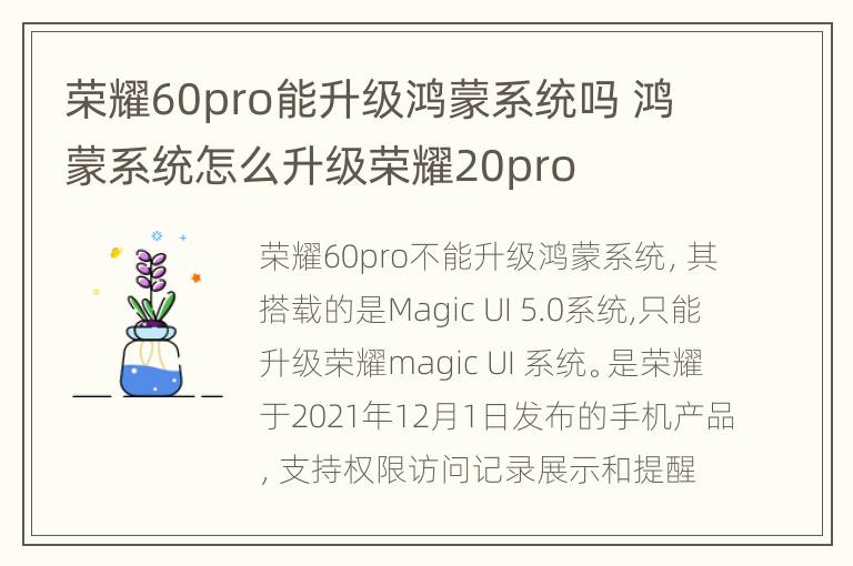 荣耀60pro能升级鸿蒙系统吗 鸿蒙系统怎么升级荣耀20pro