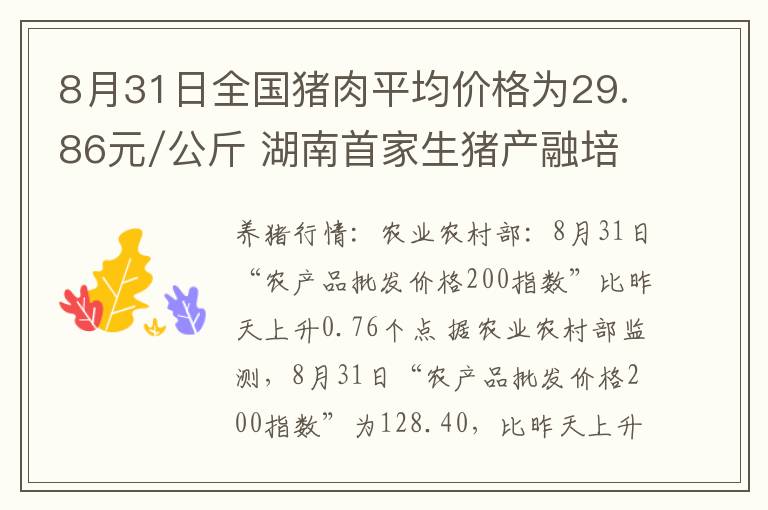 8月31日全国猪肉平均价格为29.86元/公斤 湖南首家生猪产融培养基地