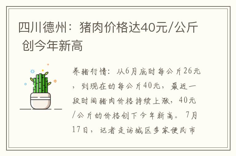 四川德州：猪肉价格达40元/公斤 创今年新高