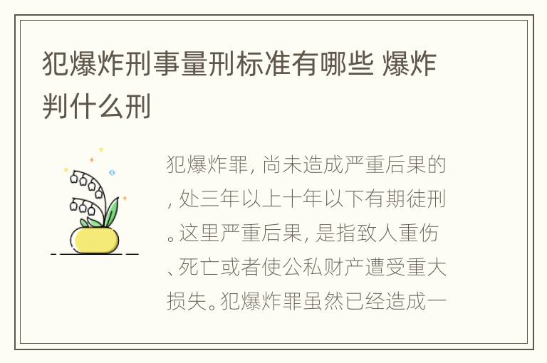 犯爆炸刑事量刑标准有哪些 爆炸判什么刑