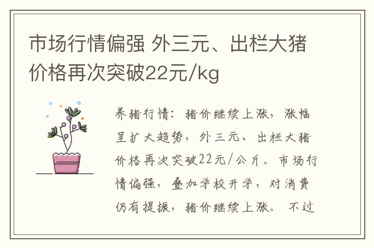 市场行情偏强 外三元、出栏大猪价格再次突破22元/kg