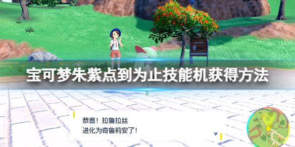 宝可梦朱紫点到为止在哪-点到为止技能机获得方法