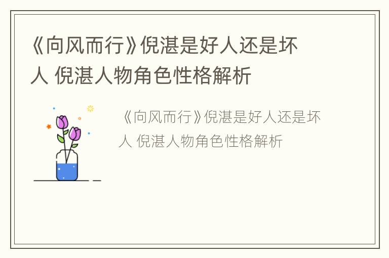 《向风而行》倪湛是好人还是坏人 倪湛人物角色性格解析