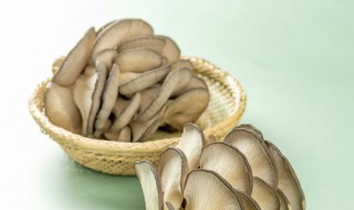 蘑菇放冰箱10天能吃吗 蘑菇放冰箱10天可不可以继续吃