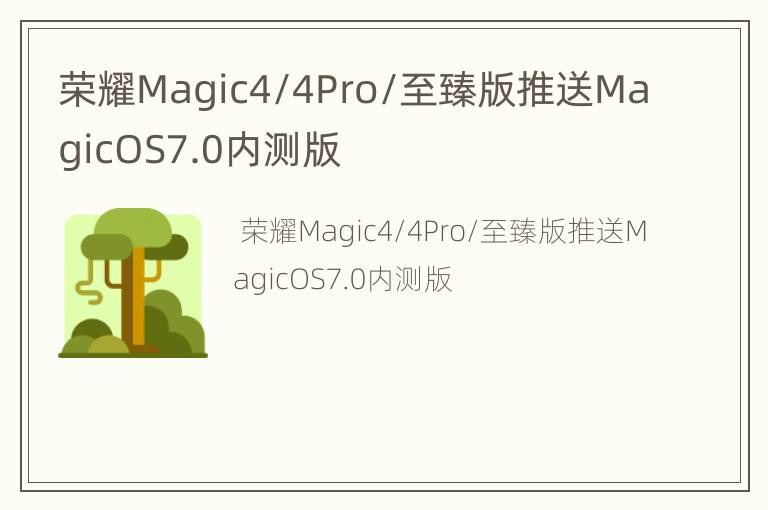 荣耀Magic4/4Pro/至臻版推送MagicOS7.0内测版