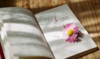 林冲的英雄事迹 林冲的英雄事迹有哪些