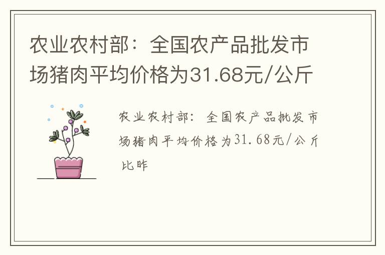 农业农村部：全国农产品批发市场猪肉平均价格为31.68元/公斤 比昨