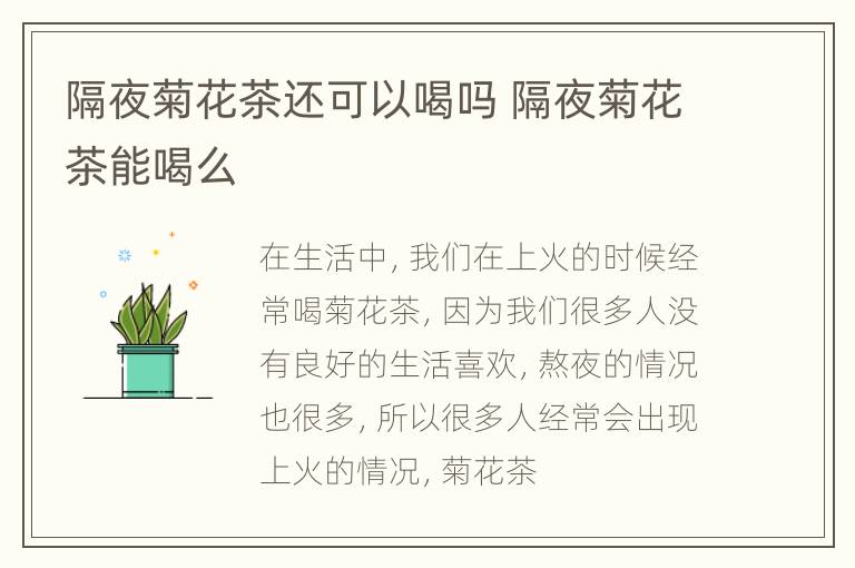隔夜菊花茶还可以喝吗 隔夜菊花茶能喝么