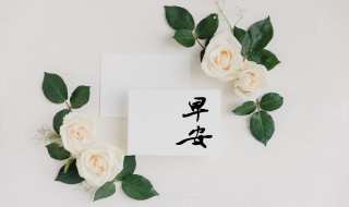 简单的早安心语 一句话的早安心语