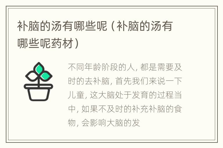 补脑的汤有哪些呢（补脑的汤有哪些呢药材）