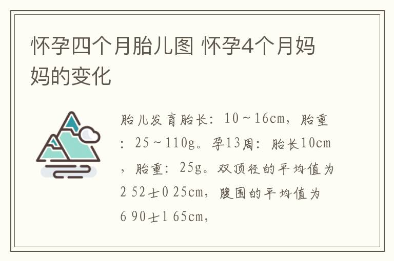 怀孕四个月胎儿图 怀孕4个月妈妈的变化