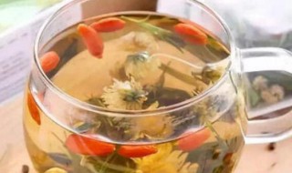 菊花枸杞茶的功效与作用及禁忌 菊花枸杞茶的功效与作用及禁忌有哪些
