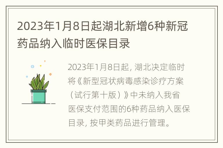 2023年1月8日起湖北新增6种新冠药品纳入临时医保目录