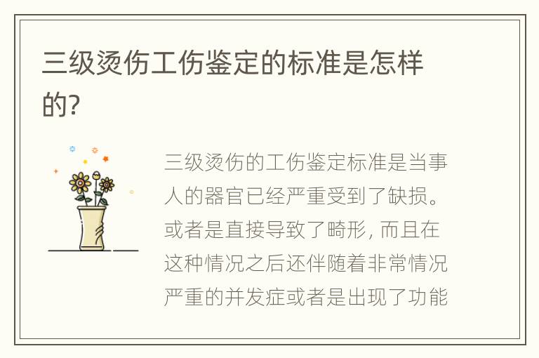 三级烫伤工伤鉴定的标准是怎样的？