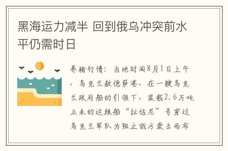 黑海运力减半 回到俄乌冲突前水平仍需时日
