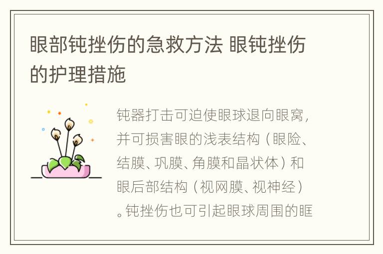 眼部钝挫伤的急救方法 眼钝挫伤的护理措施