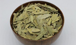 番泻叶茶的功效与作用 番泻叶茶的功效与作用是什么