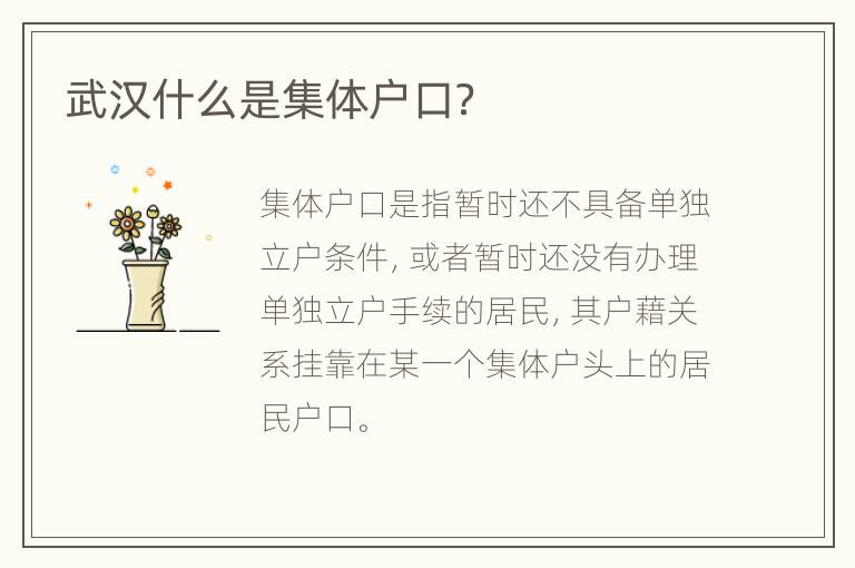 武汉什么是集体户口？