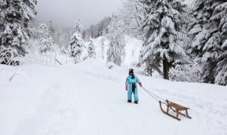 雪乡旅游攻略自助游，雪乡旅游攻略自助游5天