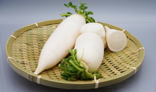 肉汁萝卜正宗做法 肉汁萝卜简单做法介绍