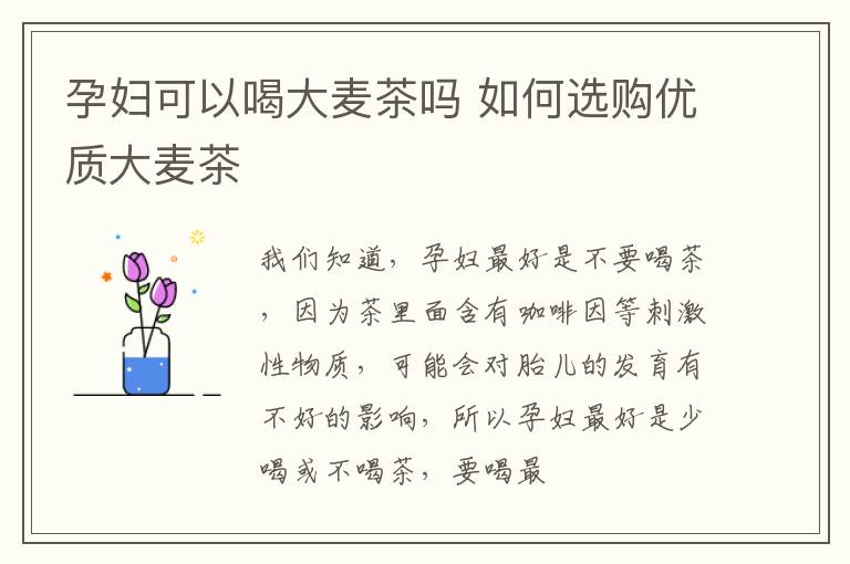 孕妇可以喝大麦茶吗 如何选购优质大麦茶