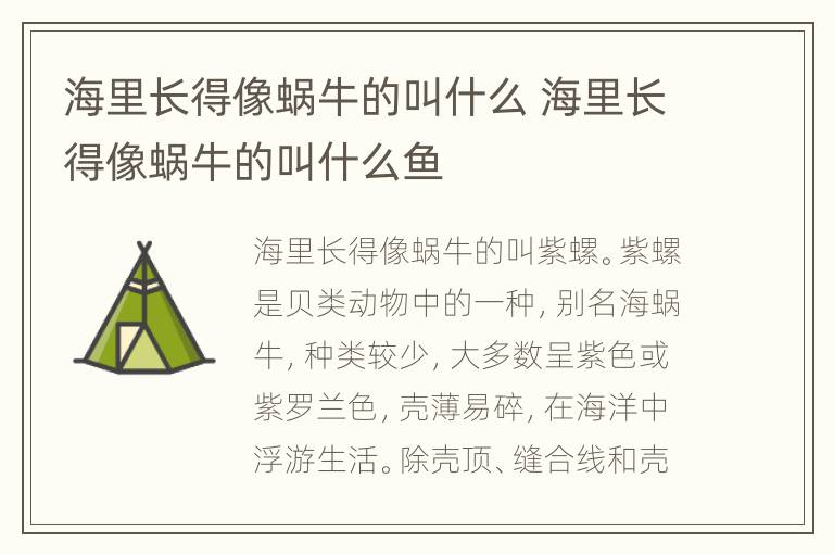 海里长得像蜗牛的叫什么 海里长得像蜗牛的叫什么鱼