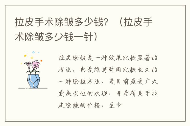 拉皮手术除皱多少钱？（拉皮手术除皱多少钱一针）