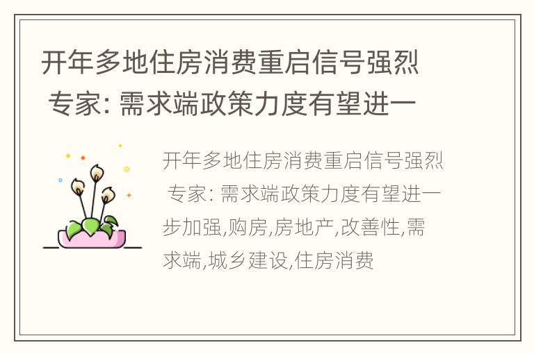 开年多地住房消费重启信号强烈 专家：需求端政策力度有望进一步加强