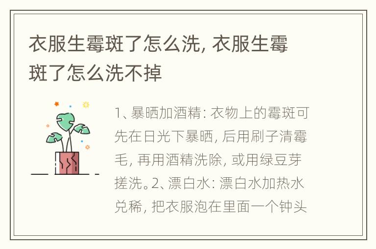 衣服生霉斑了怎么洗，衣服生霉斑了怎么洗不掉