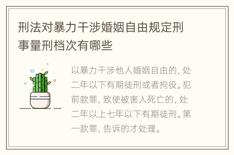 刑法对暴力干涉婚姻自由规定刑事量刑档次有哪些